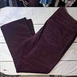 LOFT Plus Deep Burgundy Corduroy Trousers Size 20 Modern Boot Cut